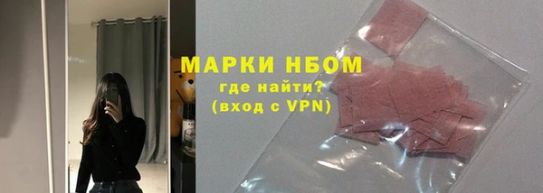 прущие грибы Армянск