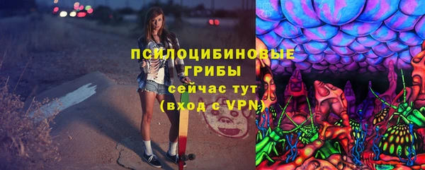 дурь Аркадак