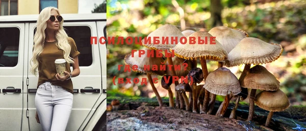 ГАЛЛЮЦИНОГЕННЫЕ ГРИБЫ Арсеньев