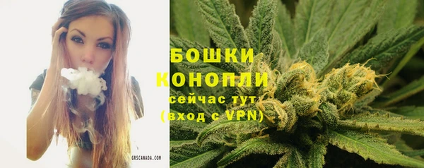 гидропоника Балабаново