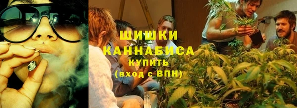 прущие грибы Армянск